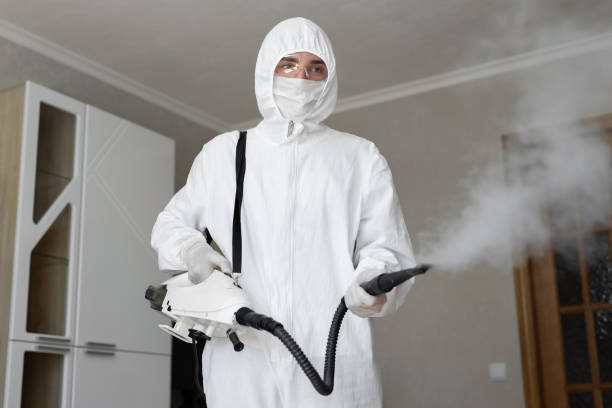 Best Residential Mold Inspection & Testing in USA